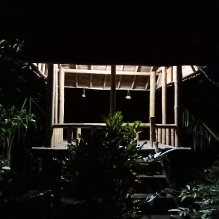 Bali Mountain Forest Cabin Penebel エクステリア 写真