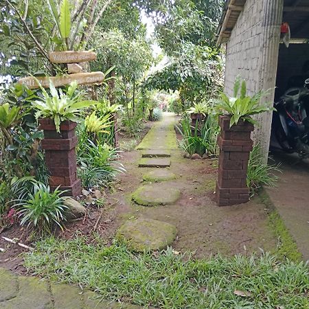 Bali Mountain Forest Cabin Penebel エクステリア 写真