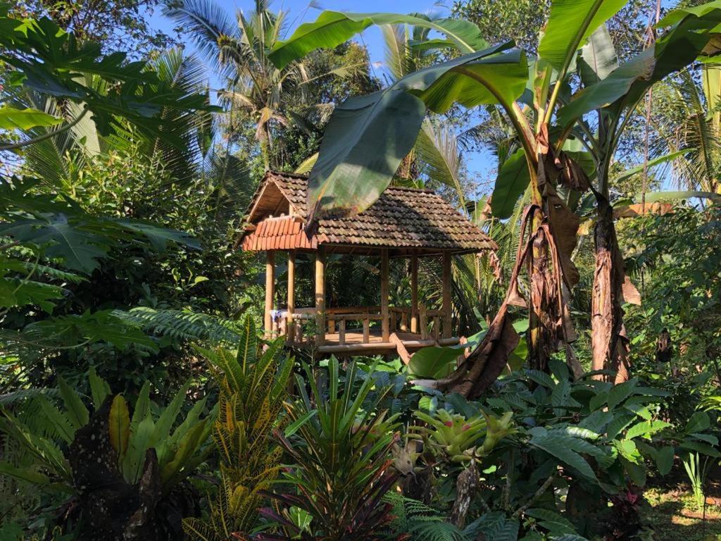 Bali Mountain Forest Cabin Penebel エクステリア 写真