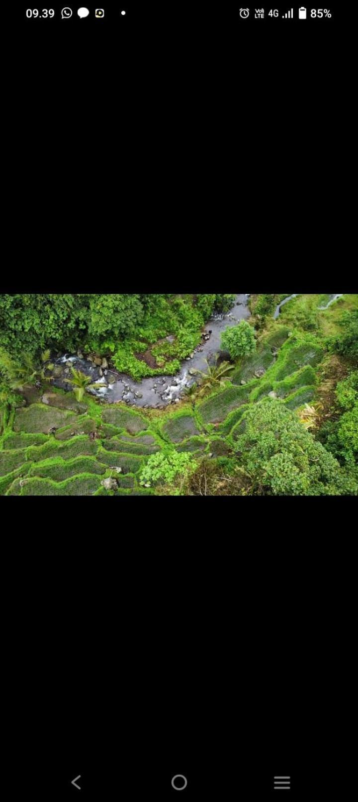 Bali Mountain Forest Cabin Penebel エクステリア 写真