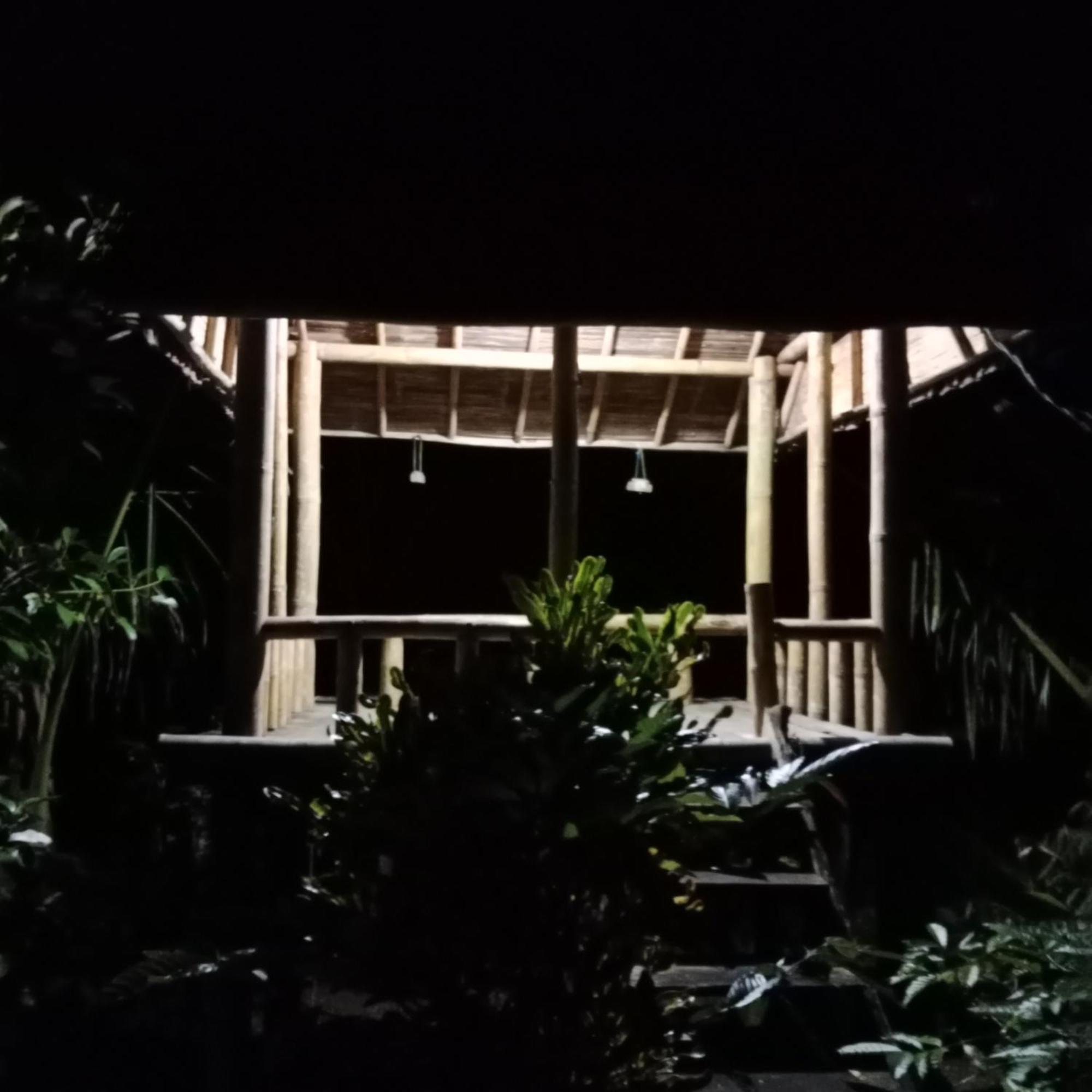 Bali Mountain Forest Cabin Penebel エクステリア 写真