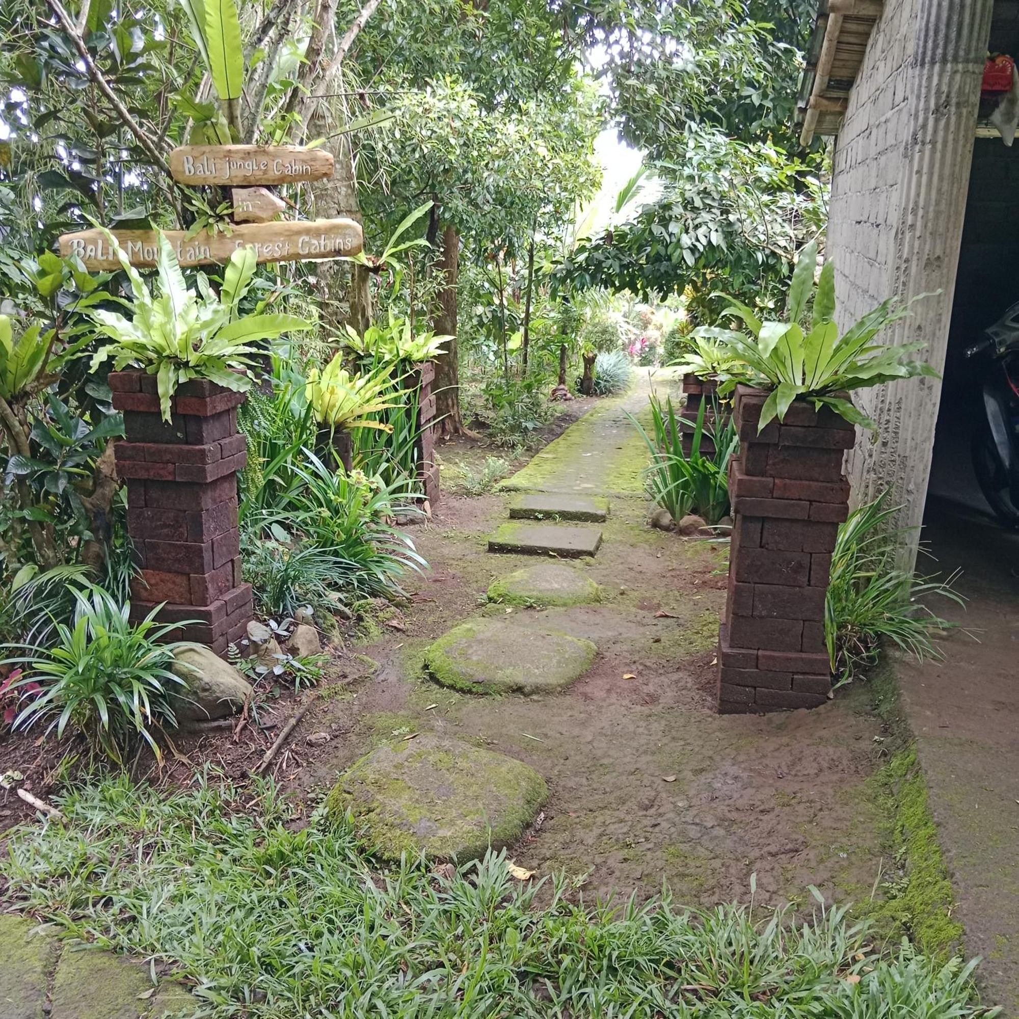 Bali Mountain Forest Cabin Penebel 部屋 写真