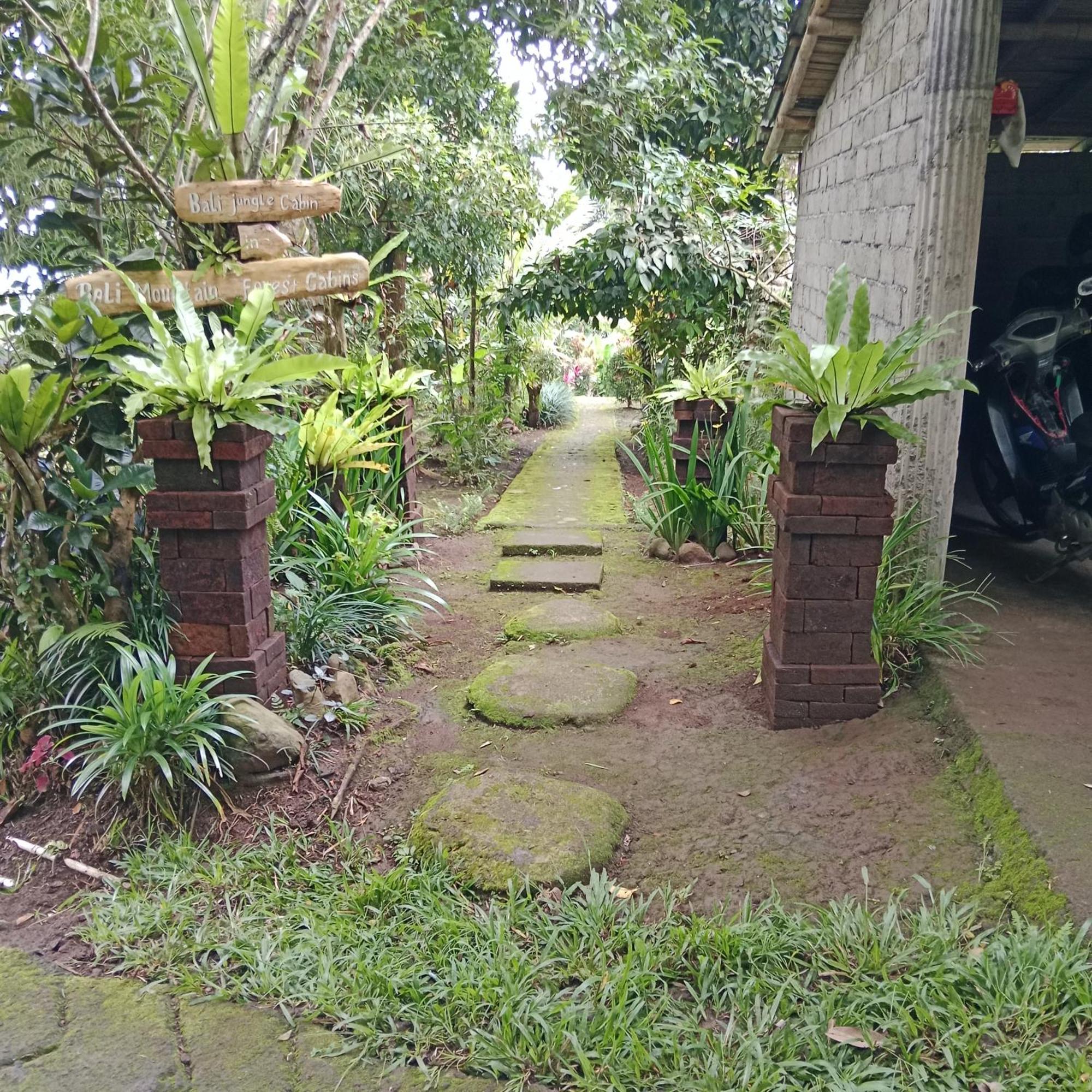 Bali Mountain Forest Cabin Penebel エクステリア 写真