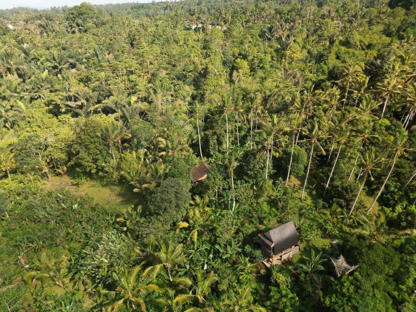 Bali Mountain Forest Cabin Penebel 部屋 写真
