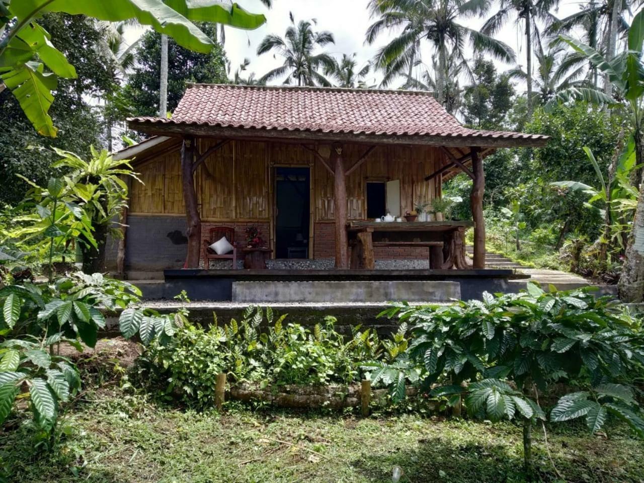 Bali Mountain Forest Cabin Penebel エクステリア 写真