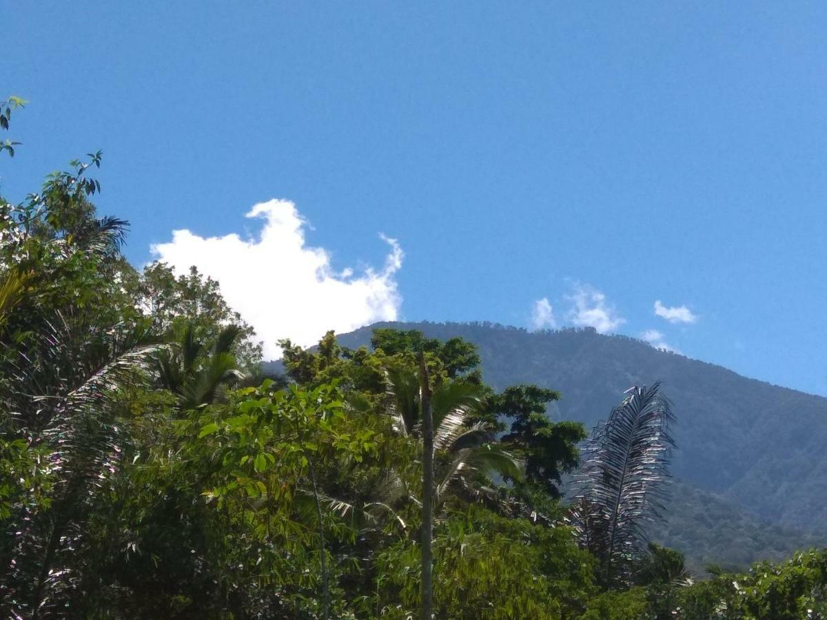Bali Mountain Forest Cabin Penebel エクステリア 写真