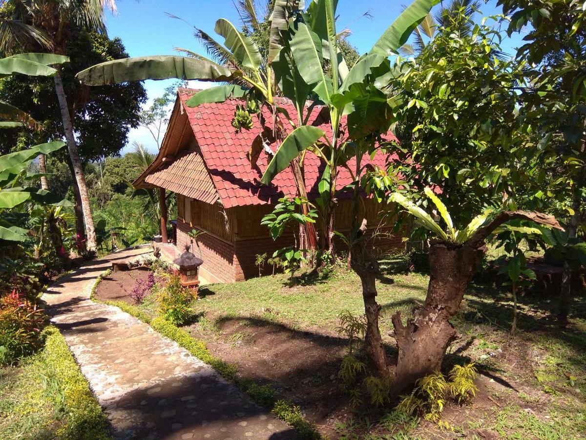 Bali Mountain Forest Cabin Penebel エクステリア 写真