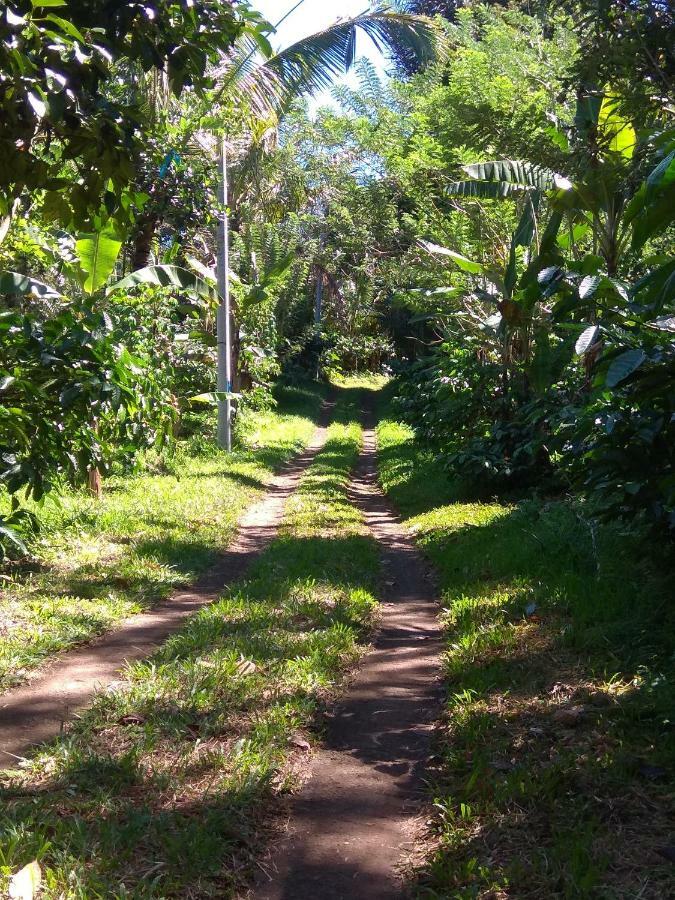 Bali Mountain Forest Cabin Penebel エクステリア 写真
