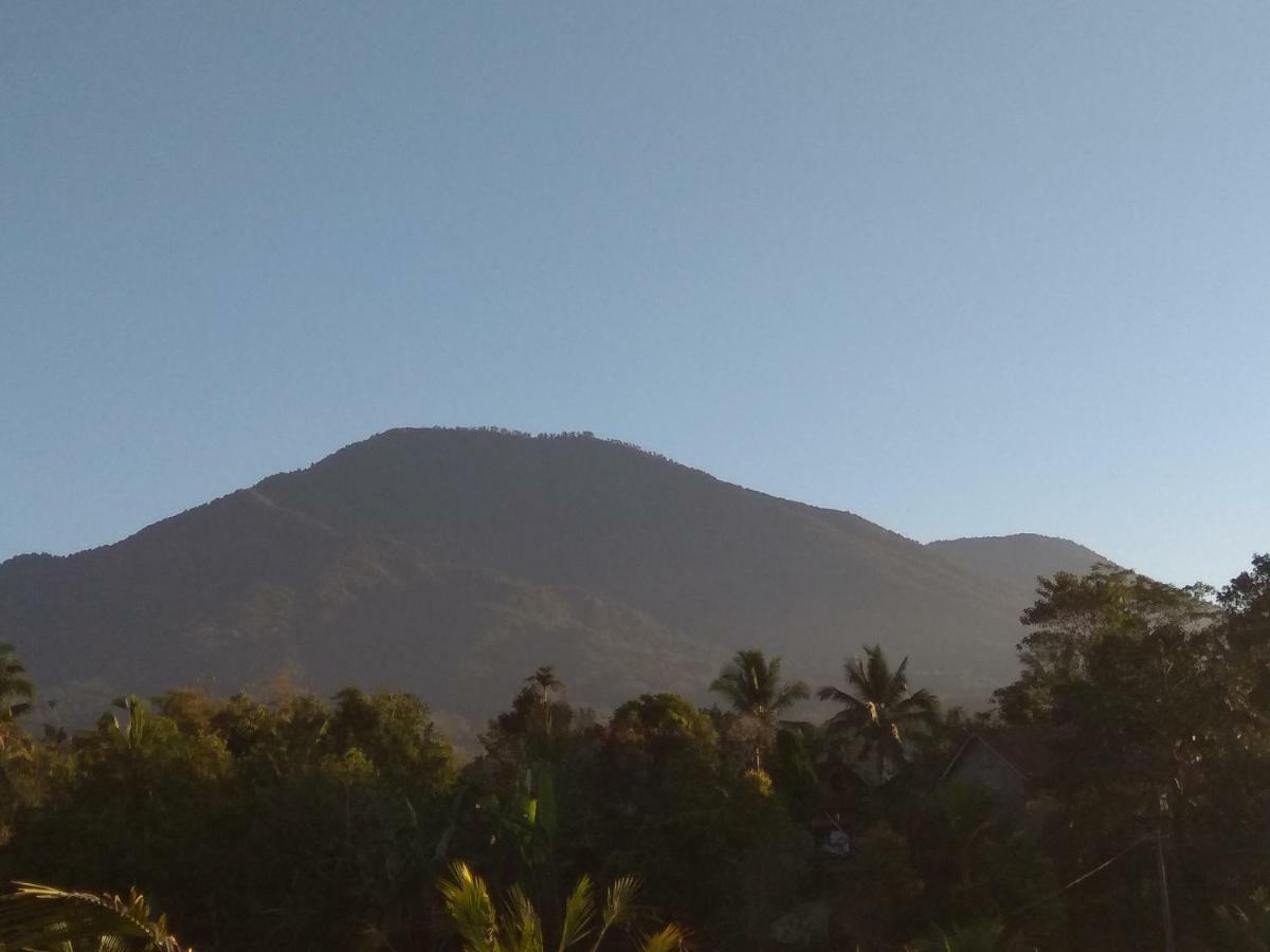 Bali Mountain Forest Cabin Penebel エクステリア 写真