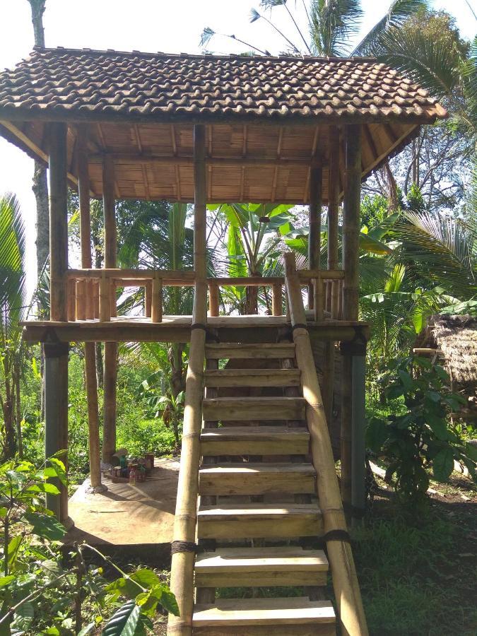 Bali Mountain Forest Cabin Penebel 部屋 写真